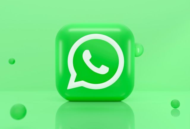 WhatsApp support — Labelwala replies on WhatsApp within 2 hours